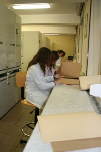 KBiOP Herbarium1