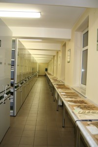 KBiOP Herbarium3